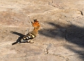 13 02 13_Egypt_0956_edited-2